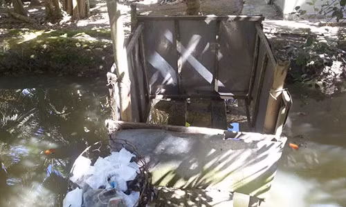 Bệ xí giữa thiên nhiên – làm thức ăn luôn cho cá khiến giới trẻ tranh cãi.