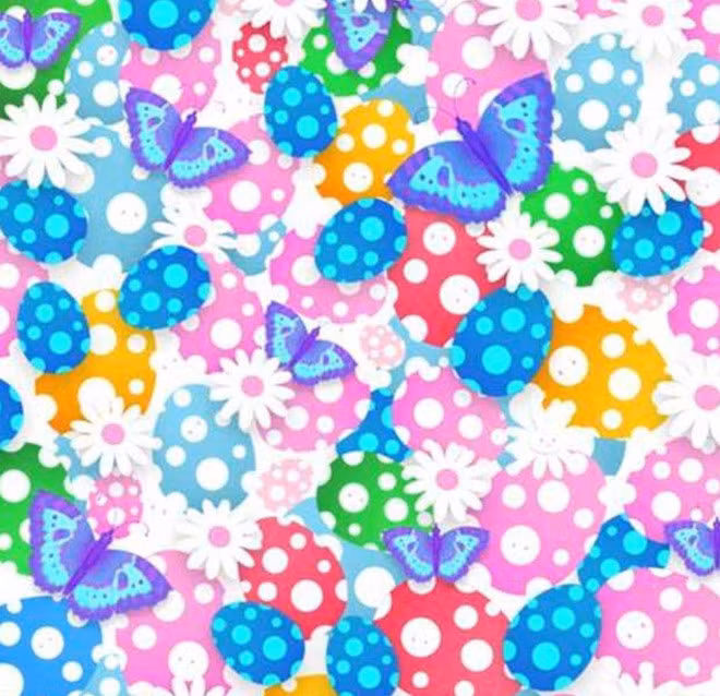 Bạn có nhìn thấy chú thỏ trắng trốn ở đâu không? Bạn có nhìn thấy chú thỏ trắng trốn ở đâu không?