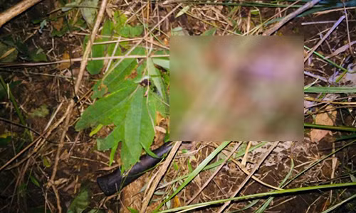 Bang chung moi trong vu thieu nien 13 tuoi cuong hiep be gai