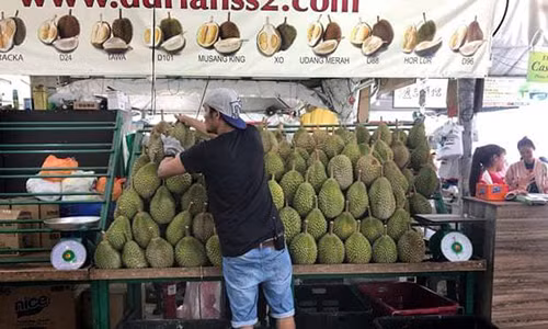 350 ngan 1 mui sau rieng: Xep hang tranh mua nhu iPhone X