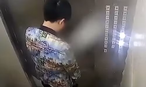 Cậu bé coi thang máy như nhà vệ sinh công cộng.