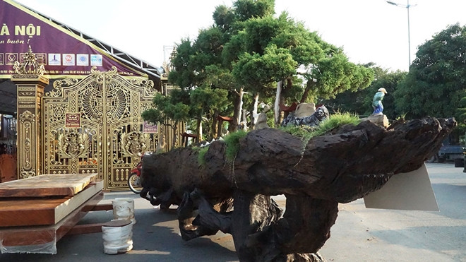 Điểm độc đáo của tác phẩm này họ sử dụng một thân cây gỗ làm chậu cây.