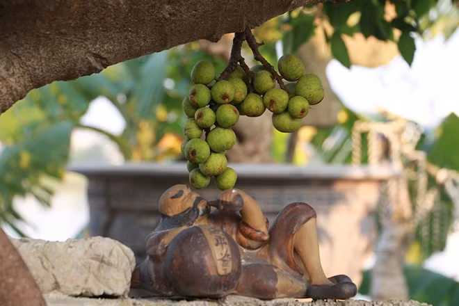 Những chậu cây cảnh ngoài được uốn rất kỹ càng còn được chăm chút bởi những bức tượng sứ đi kèm...