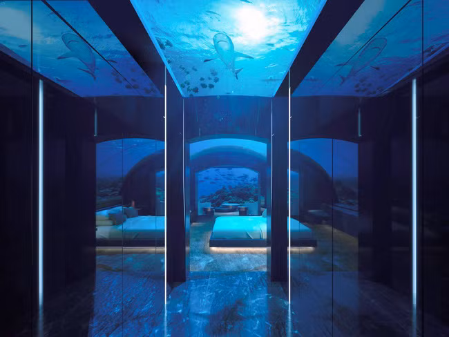 Phòng ngủ có 1 giường cỡ lớn.