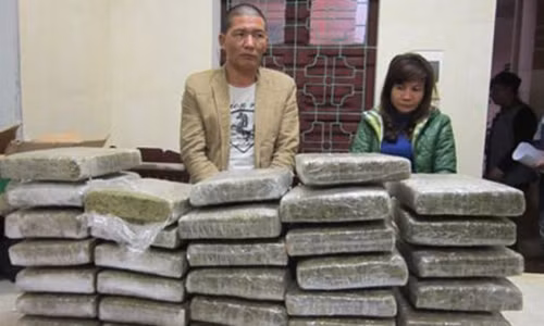 Một kg cần sa trên thị trường có giá lên tới cả 200 triệu đồng và tác hại của chúng đối với người sử dụng cũng vô cùng khủng khiếp.