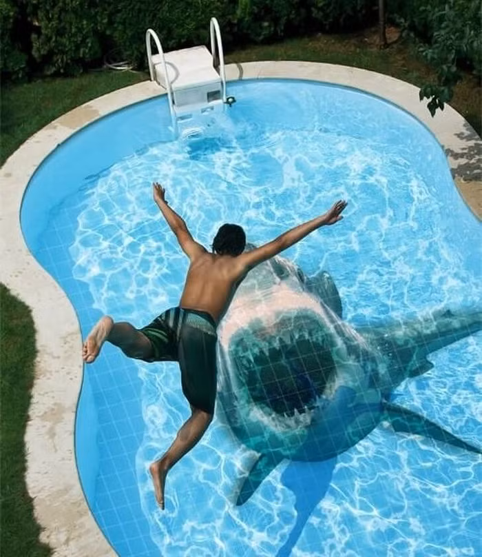 Một cái hồ bơi trong nhà thế này sẽ khiến khách giật mình đây.