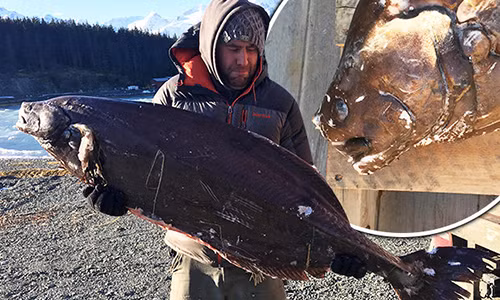 Harry Rietze cầm trên tay cá "ngoài hành tinh" kỳ lạ chưa từng thấy. Harry Rietze cầm trên tay cá "ngoài hành tinh" kỳ lạ chưa từng thấy.