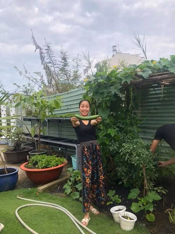 Ngay sau khi dọn về nhà mới, cô Ốc cùng chồng nhanh chóng bắt tay vào cải tạo ngôi nhà, trồng thêm cây vì từ lâu mong ước của 2 vợ chồng là có một không gian sống xanh, tràn ngập cây, rau, củ. Khi ngôi nhà còn chưa hoàn thiện, Trí “rùa” - chồng nữ MC đã bắt đầu trồng cây sơ ri đầu tiên. 5 tháng trước anh lại trồng cỏ Nhật trước trước nhà để con làm chỗ vui chơi. Tiếp theo là trồng rau vào 1 góc vườn để cả nhà có rau sạch ăn.