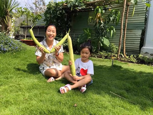 Ốc Thanh Vân cho biết, thời gian đầu cả 2 vợ chồng đều không có kinh nghiệm trồng trọt nên được chú quản gia và cô giúp việc chỉ bảo tận tình. Hiện nhà cô trồng rau theo 2 hình thức chính là thủy canh và thổ canh. Với thổ canh, ông xã Thanh Vân lại chia làm 2 khu: khu đặt giá 12 khay trồng rau và khu trồng trực tiếp xuống đất. Ngoài ra, hệ thống tưới tiêu cũng được vợ chồng cô chú trọng. Chẳng thế mà vườn nhà bà mẹ 3 con lúc nào cũng xanh tươi, mướt mắt chưa kể cây cho năng xuất cao, quả lúc nào cũng trĩu trịt, ít sâu bệnh.