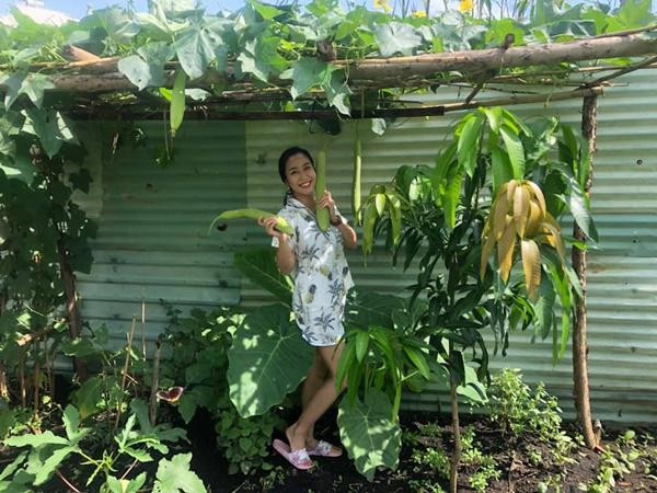 Không chỉ trồng 1 - 2 loại, trong vườn nhà Ốc có sự có mặt của rất nhiều loại cây - rau, từ rau ăn lá như cải bẹ xanh, cải trời, cải ngọt, tầm tơi, rau dền đến rau gia vị như rau thơm, húng quế, xá xị, xà lách... Cây ăn trái cũng phong phú với cà tím, dưa leo, mướp, khổ qua, cà chua, ớt hiểm, đậu bắp…