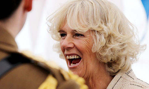 Ba Camilla giu vung danh hieu nhan vat hoang gia bi ghet nhat nuoc Anh