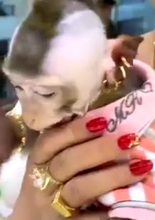 Chu khi deo vang lung lang, xai duong da, an nho My