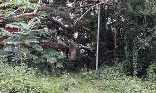 Hiện trường xảy ra sự việc.