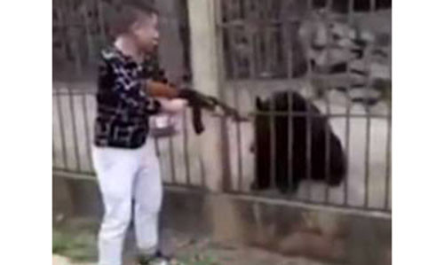 Người đàn ông hét con gấu im mồm và "tặng" cho nó 1 viên đạn. Ảnh: PATRIOT CHINA