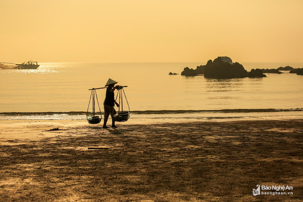 Ngoài việc được các bà các chị đưa bán ở các chợ để người nội trợ chế biến thành các món ăn như gỏi, xào, canh... Ảnh: Hải Vương