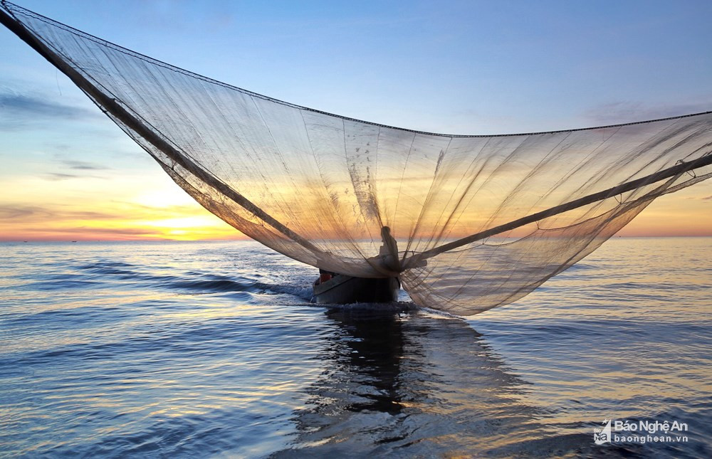 Theo các ngư dân, mỗi chuyến đánh bắt thường kéo dài 2-3h. Nhà nào đánh được nhiều thì quay vào bờ rồi lại ra biển đánh tiếp, có nhà đi được 2-3 chuyến/ngày. Ảnh: Hải Vương