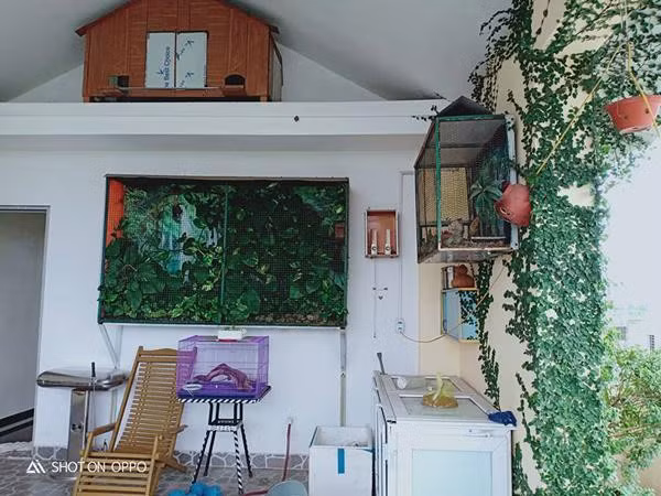 Ngoài phòng khách, phòng ăn, phòng ngủ được trang trí theo sở thích của mỗi thành viên, anh Quang Huy đặc biệt chú trọng đến việc thiết kế sân thượng để tận dụng được mọi công năng. Chính vì vậy, tầng 4 được anh dùng phần lớn diện tích để trồng rau thủy canh, trồng hoa và có một bể cá nhỏ để thư giãn.