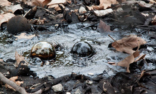 Hồ nhựa đường có thể nuốt chửng người chỉ trong ít phút. Ảnh: Kiến thức