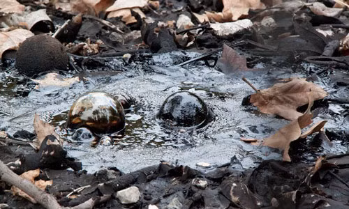 Hồ nhựa đường có thể nuốt chửng người chỉ trong ít phút. Ảnh: Kiến thức