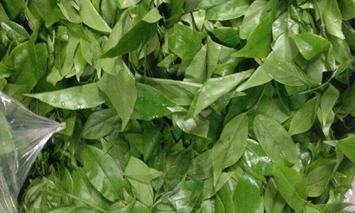 1kg rau sắng mua được 1kg thịt lợn. Ảnh: Thuần Việt