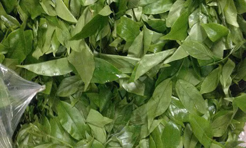 1kg rau sắng mua được 1kg thịt lợn. Ảnh: Thuần Việt