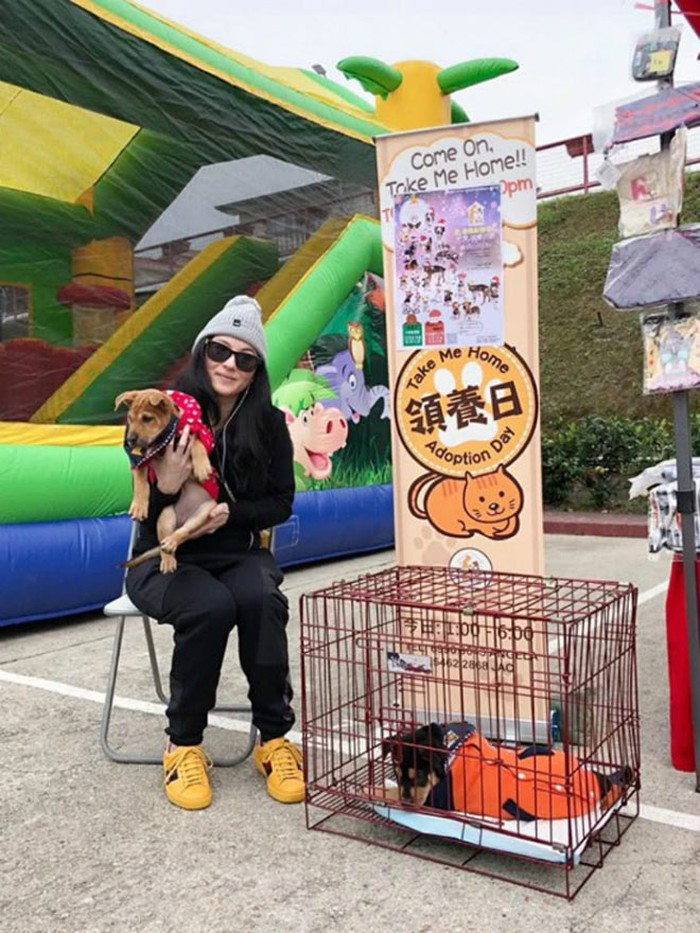 Được biết, những hình ảnh này được chụp khi Trương Bá Chi tham gia một sự kiện về cún cưng. Vẻ ngoài của nữ diễn viên tăng cân lên trông thấy, nhất là vòng hai và bắp đùi. Nhiều người phỏng đoán cơ thể một phụ nữ sau khi sinh được 2 hoặc 3 tháng sẽ chưa thể lấy lại vóc dáng như xưa. Trước đây Trương Bá Chi thuộc dạng người thanh mảnh.