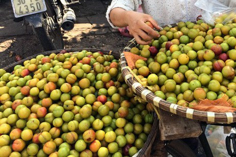 Mận Trung Quốc gắn mác mận Việt Nam bán nhiều trên thị trường hiện nay.