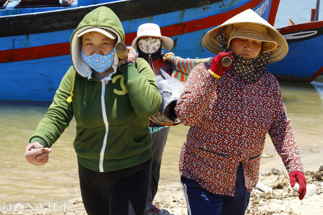 Mỗi con cá phải từ 3 đến 4 người mới có thể khiêng, vì có con có thể nặng trên 100 kg.