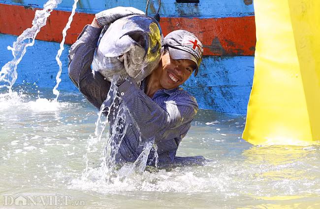 Lênh đênh trên biển hàng chục ngày, nên hầu hết những người đi biển chỉ mong giá cả ổn định để có thể kiếm thêm thu nhập để nuôi gia đình.