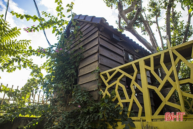 Bên ngoài căn nhà gỗ là những loại cây dây leo đan xen mọc từ bên ngoài vào trong như những bàn tay vững chãi bao quanh.