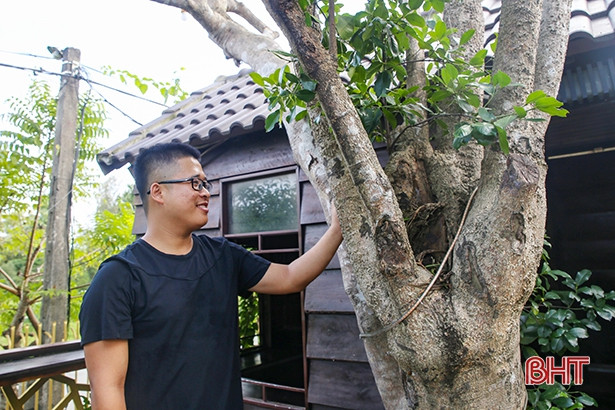 Ông chủ sinh năm 1987 chia sẻ, làm trong ngành du lịch nên anh thường xuyên được đi nhiều nơi và tham khảo được nhiều cách thiết kế độc đáo. Với dòng cây rỏi này, anh đã tạo nên một căn nhà gỗ độc nhất vô nhị cho quán cafe của mình tại Hà Tĩnh.