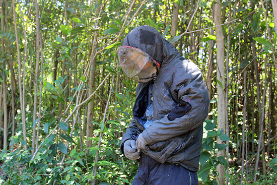 Dan Quang Nam xuyen rung thieng nuoc doc san loai 