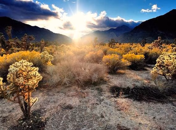 Mojave, Tây Nam nước Mỹ. Mặc dù địa điểm nổi tiếng này chứa các công viên quốc gia Joshua Tree và Death Valley, Mojave là sa mạc nhỏ nhất ở Bắc Mỹ.