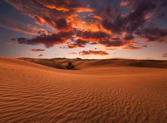 Sa mạc trắng, Ai Cập, cách Cairo 5 giờ về phía tây nam, có những đụn cát như những hình nấm khổng lồ nằm rải rác khắp sa mạc.