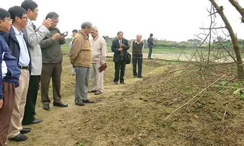 Cồn đất nổi nhỏ giữa cánh đồng Bàu Đá được xem là nơi nguyên táng thi hào Nguyễn Du.