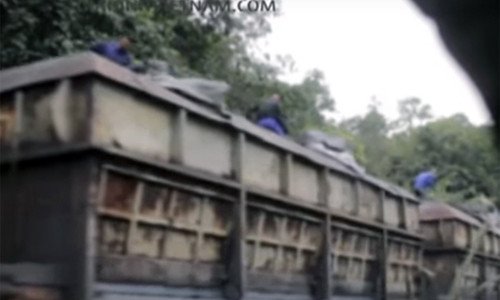 Hình ảnh được cho là 'than tặc' đang lộng hành trên tàu chở than. (Ảnh cắt từ clip, nguồn: Giadinhvietnam)