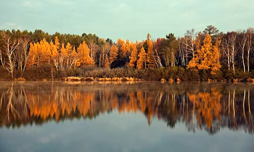 4 cau “than chu” giup ban an yen, vuot qua het buon vui cuoc doi