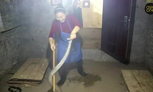 Cô Hu tại trang trại rắn. Ảnh: ASIA ONE