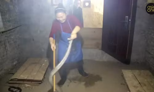 Cô Hu tại trang trại rắn. Ảnh: ASIA ONE