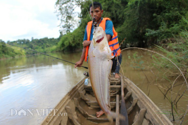 Hanh trinh ly ky nguoc song Dong Nai hoi hop san ca tren mong dinh