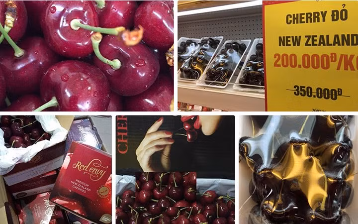 Vào những ngày cận Tết, cherry (quả anh đào) ở Hà Nội đang loạn giá khiến người tiêu dùng hoang mang, liệu cứ phải đắt tiền mới là hàng chuẩn?