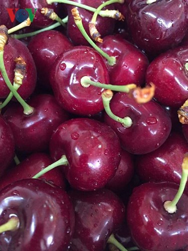 Hiện ở thị trường Hà Nội, cherry là loại trái cây nhập khẩu được nhiều người tìm mua về làm quà biếu Tết.