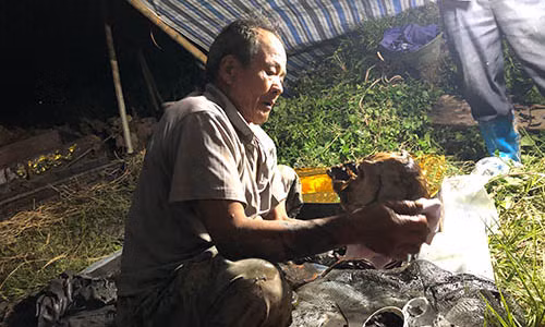 Chuyen doi, chuyen nghe nguoi cai ma