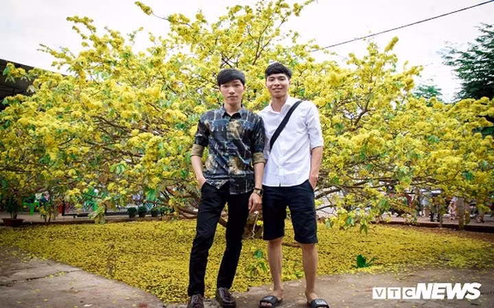 Chủ nhân của cây mai “khủng” này là ông Trần Công Thạnh (51 tuổi, ngụ huyện Xuân Lộc, tỉnh Đồng Nai). Trước Tết khoảng vài tháng, chính ông cũng lo sợ năm nay Tết đến muộn, tưởng rằng mai sẽ nở sớm, nhưng rồi ông thực sự bất ngờ khi thấy cây mai trổ bông vào đúng ngày Tết.