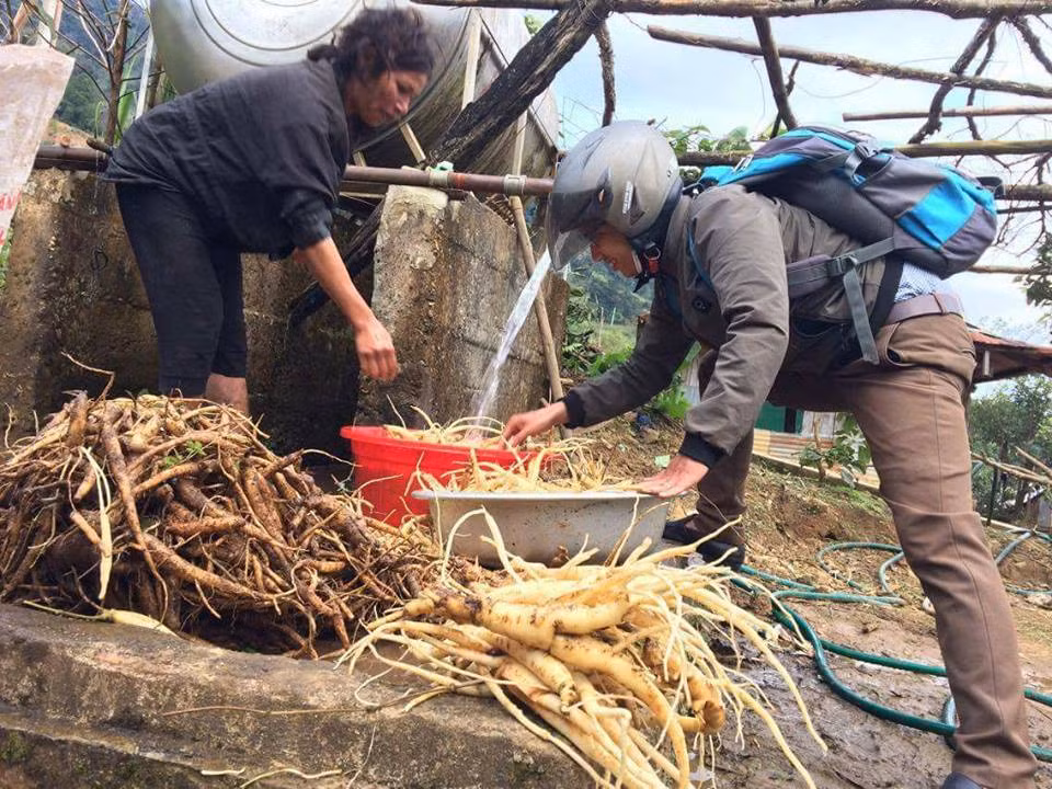 Sam Ngoc Linh: Cay giup vung can cu cach mang thoat ngheo-Hinh-2