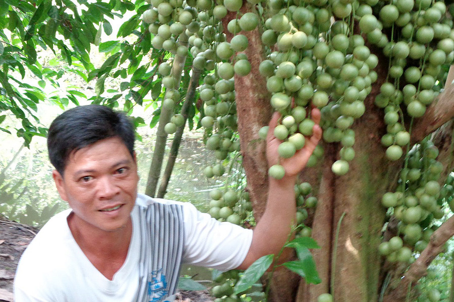 Ghe tham vuon dau lai nua ty dong o Hau Giang-Hinh-2