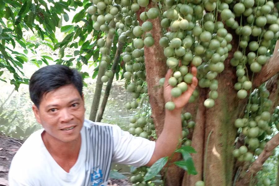 Ghe tham vuon dau lai nua ty dong o Hau Giang-Hinh-2