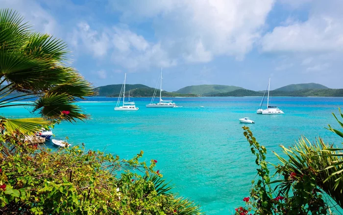 Đảo Necker Đảo Necker là một trong những hòn đảo riêng tư đắt giá nhất thế giới. Nơi đây thuộc quyền sở hữu của Richard Branson - người đứng đầu Tập đoàn Virgin. Hòn đảo vẫn còn khá hoang sơ, với cây cỏ mọc rậm, động vật hoang dã và những hướng nhìn tự nhiên ra biển. Giá phòng từ 80.000 USD (hơn 1,8 tỷ đồng) mỗi đêm cho tối đa 34 khách.