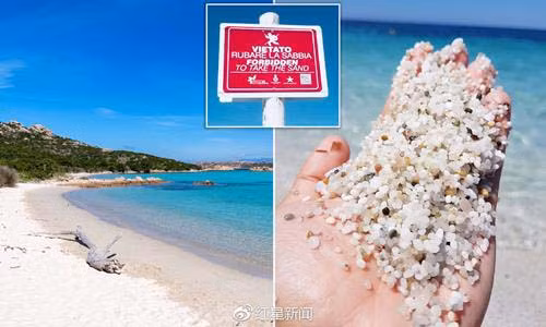 Mot nhum cat o noi day cung co gia hang chuc trieu dong