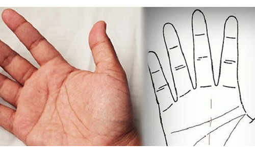 Boi tinh cach qua chieu dai cua ngon deo nhan va ngon tro